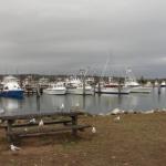 Bermagui - Wallaga Lakes